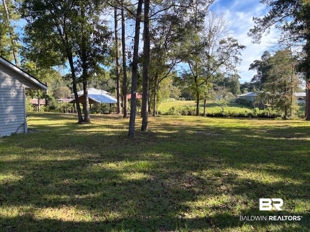 7310 Cook Road Foley, AL 36535 - Photo 8 of 14 View of grassy yard