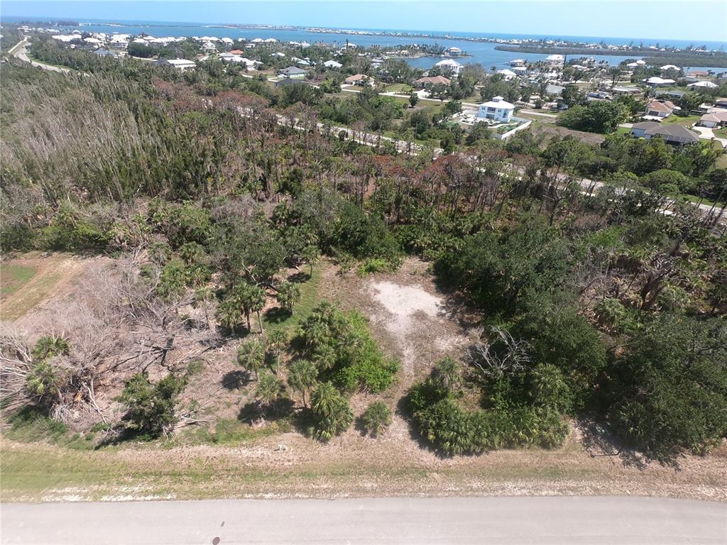 10131 Creekside Drive Placida, FL 33946 - Photo 7 of 9 an aerial view of a houses with trees