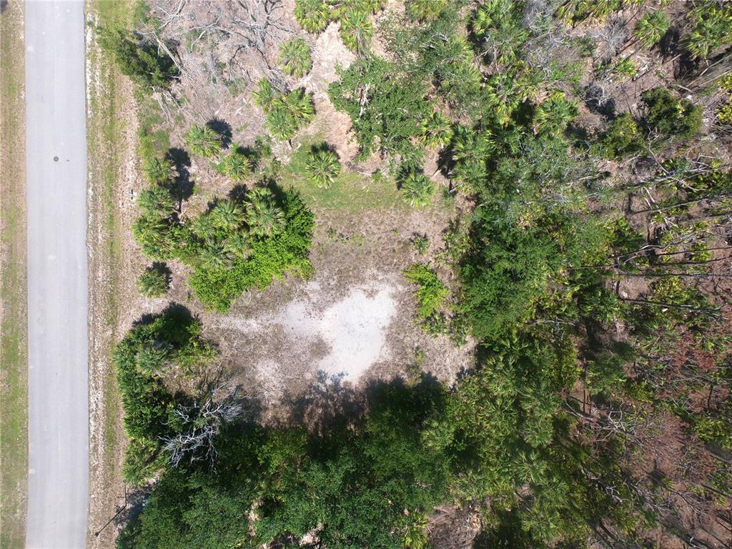 10131 Creekside Drive Placida, FL 33946 - Photo 8 of 9 a view of a yard with plants and a fountain