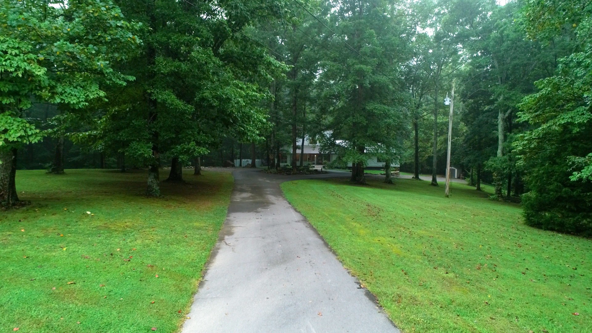 7449 Les Hughes Road Fairview, TN 37062 - Photo 47 of 49 a view of a garden with a trees