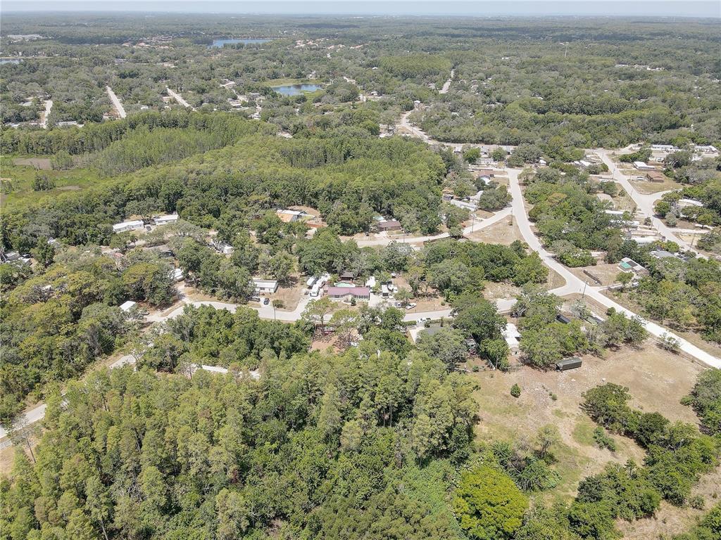 9501 Estelle Street New Port Richey, FL 34654 - Photo 53 of 59