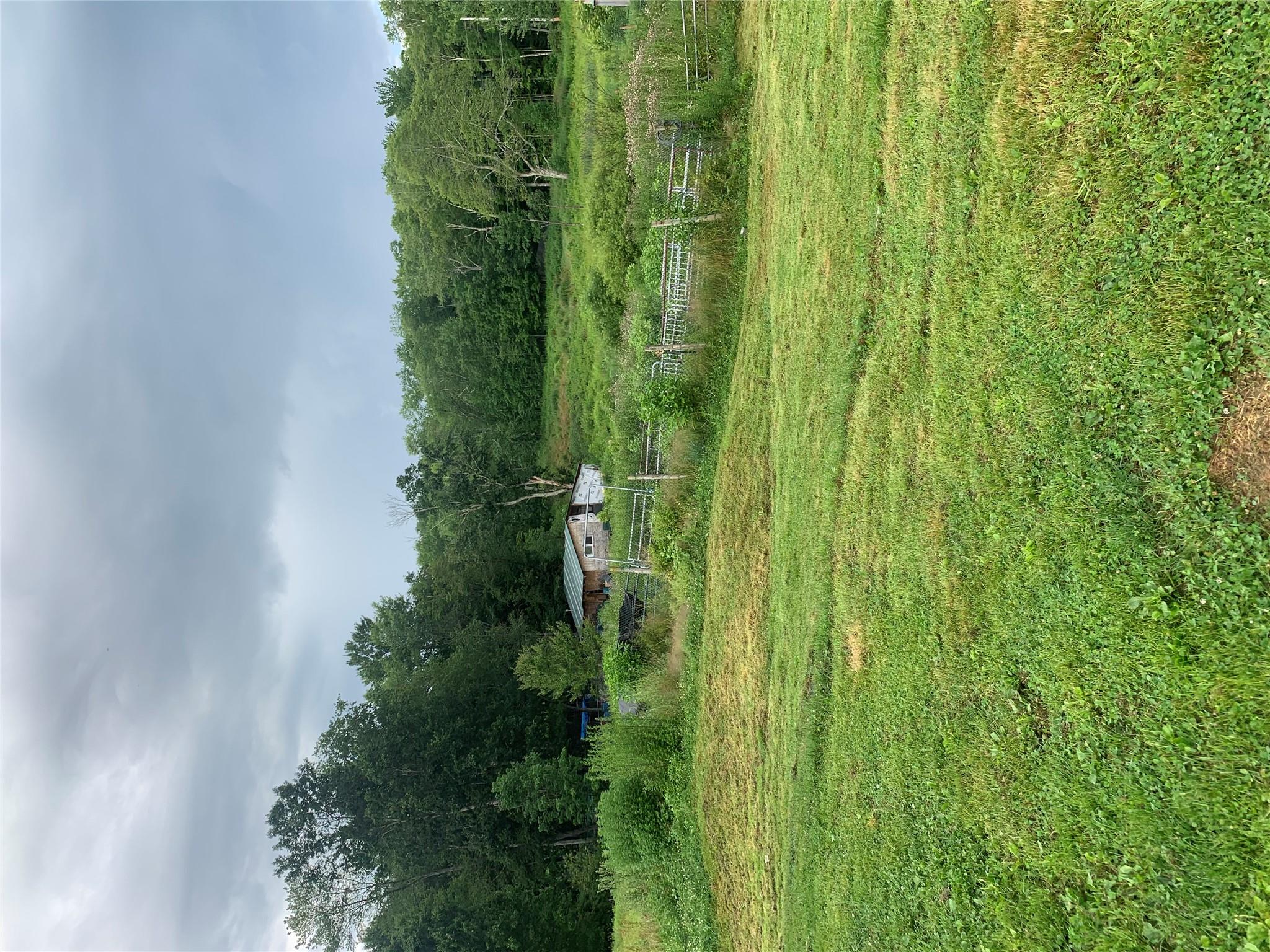 a view of park with green space