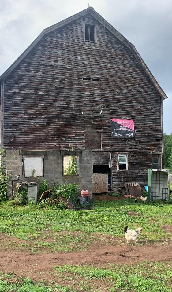 3 Burr Road Cochecton, NY 12726 - Photo 13 of 16 a front view of a house with garden