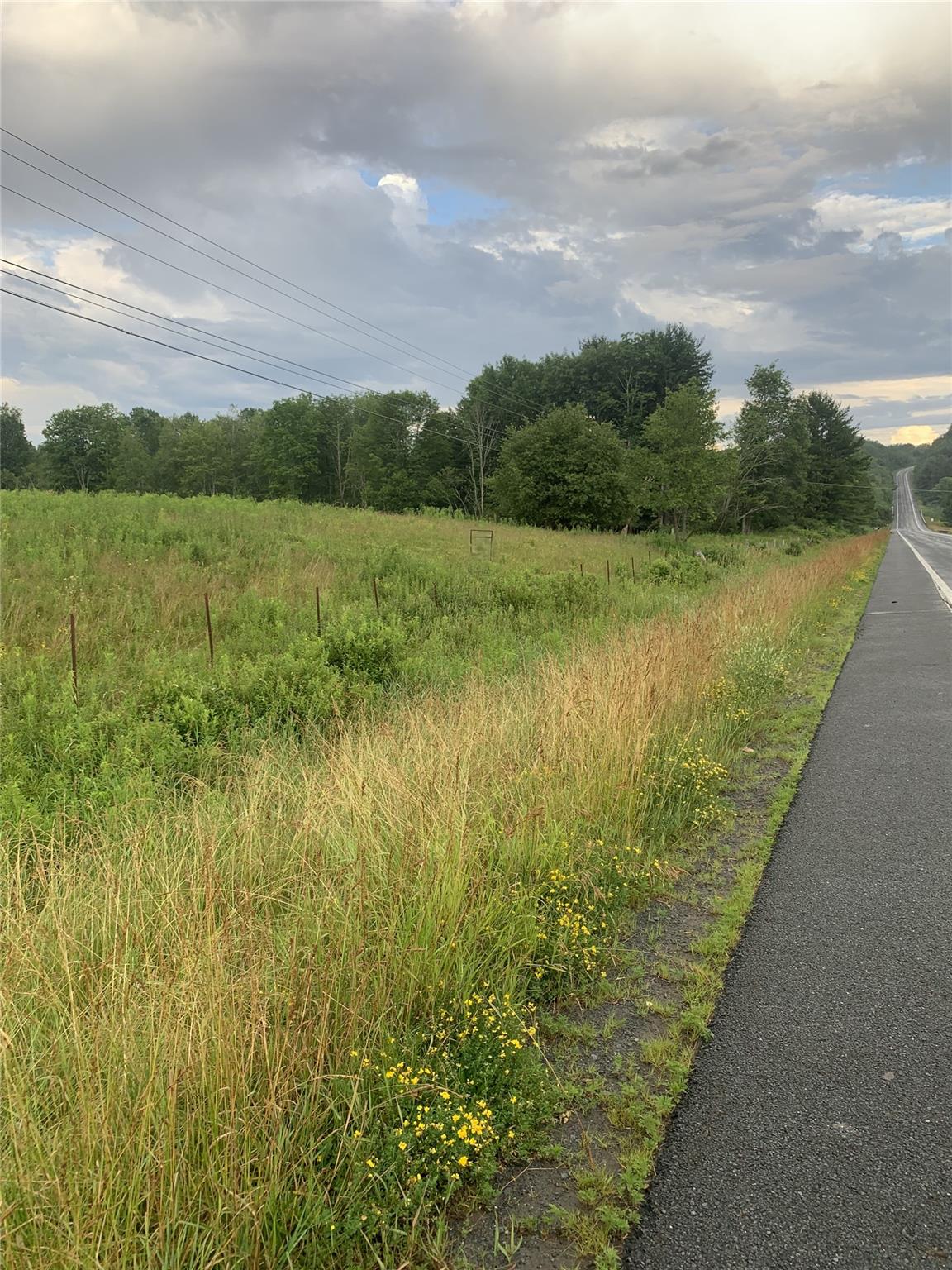 3 Burr Road Cochecton, NY 12726 - Photo 16 of 16 a view of a lake with a yard