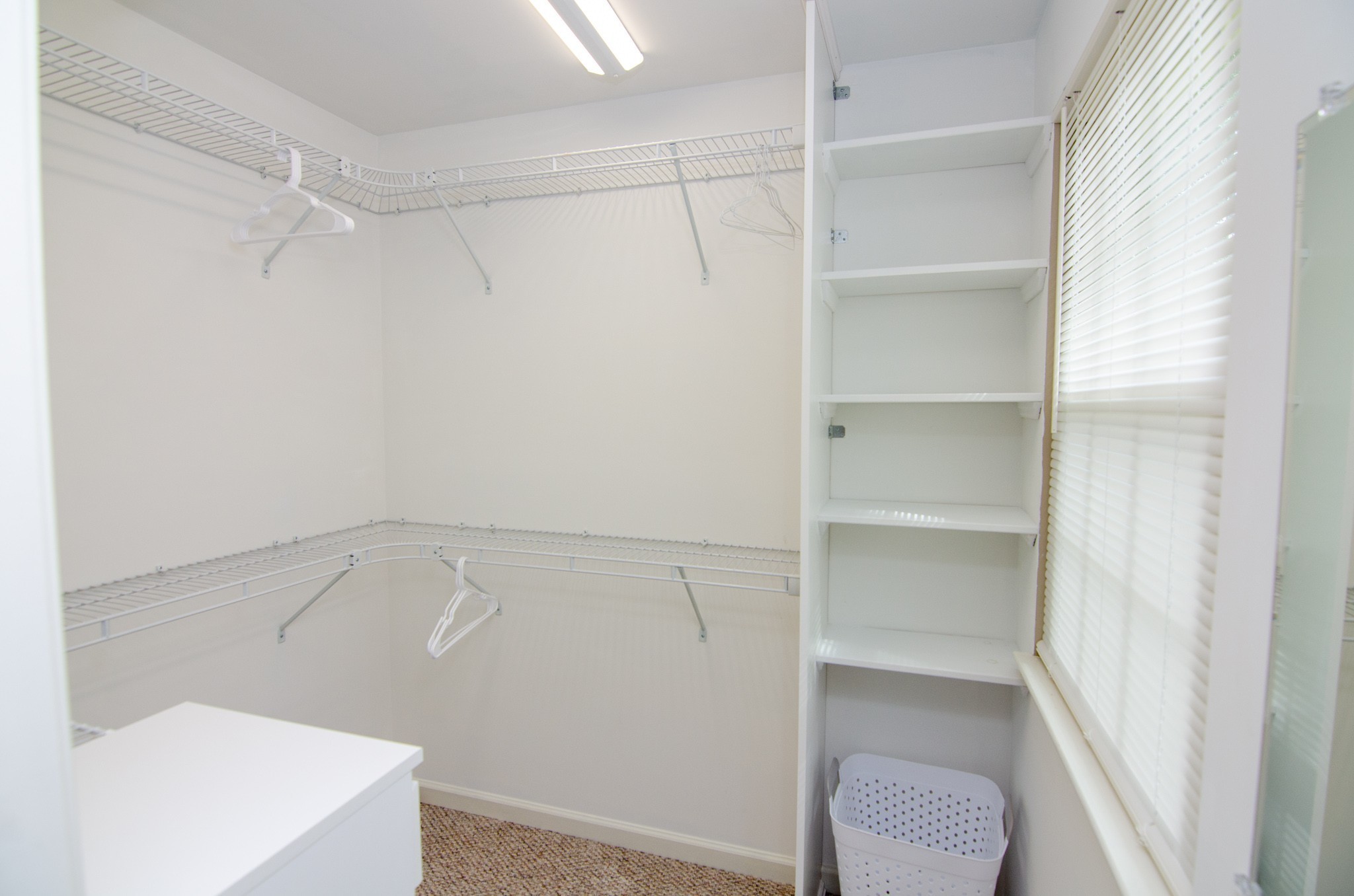 1128 General George Patton Road Nashville, TN 37221 - Photo 19 of 33 a view of an empty walk in closet