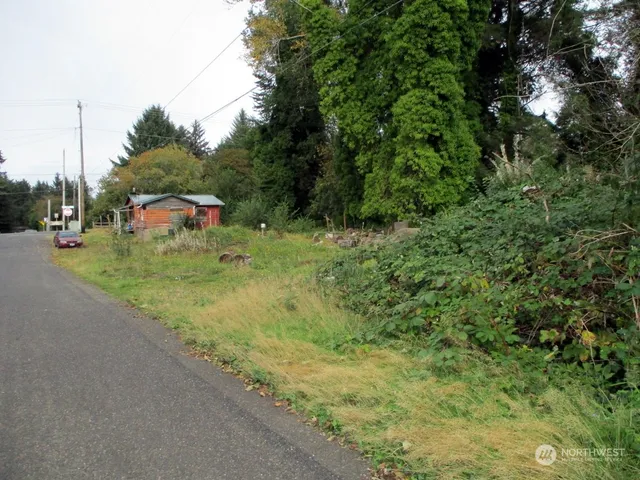 a view of a yard with plants and large trees