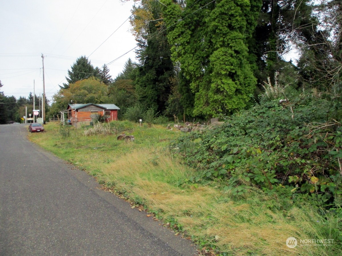 699 Copalis Beach Road Copalis Beach, WA 98535 - Photo 3 of 19 a view of a yard with plants and large trees