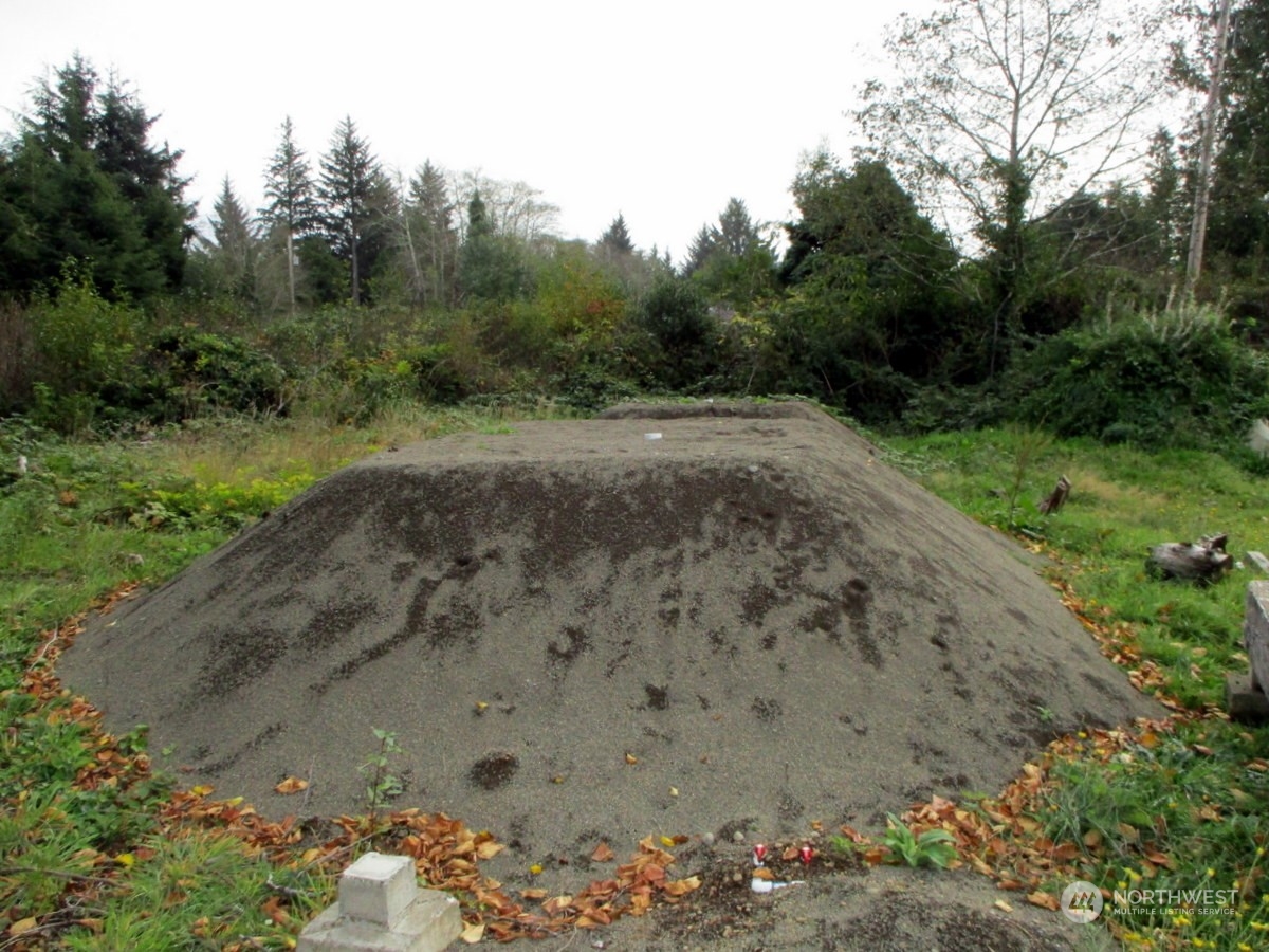 699 Copalis Beach Road Copalis Beach, WA 98535 - Photo 9 of 19