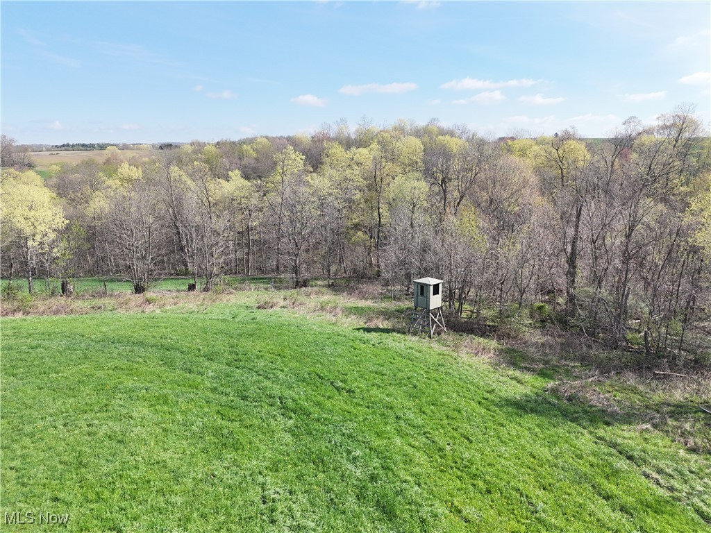 176 Township Road Fresno, OH 43824 - Photo 8 of 15 Gallery Image 8