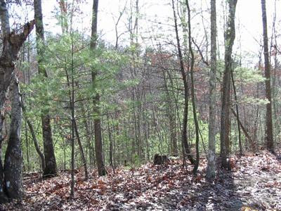 1 Umber Fork Road Campton, KY 41301 - Photo 3 of 5 Photo 3
