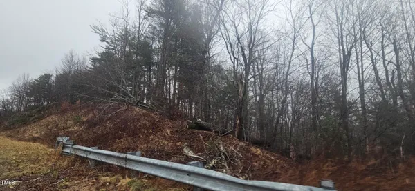 a view of backyard with green space