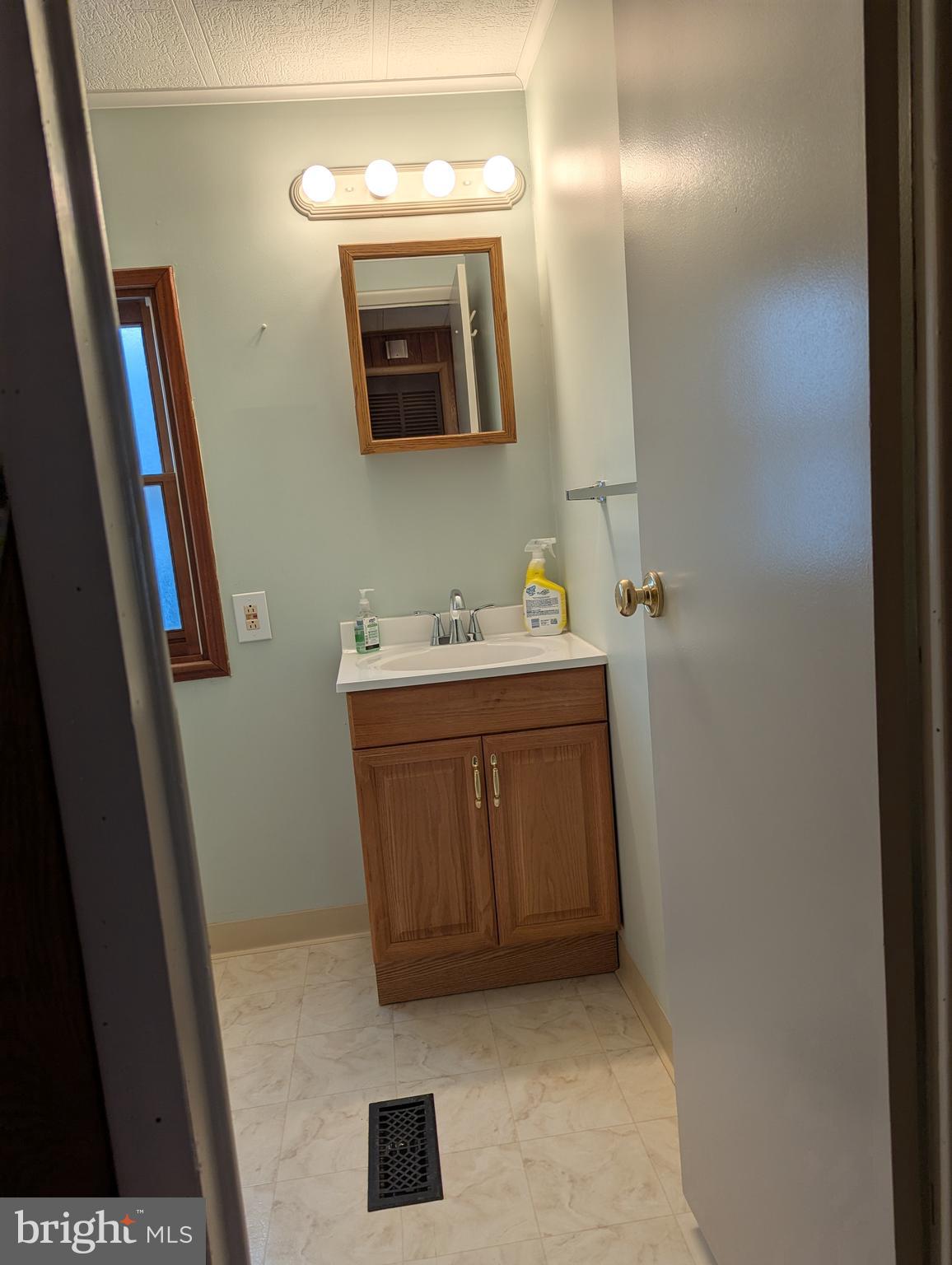 220 Winding Brook Run North Wales, PA 19454 - Photo 19 of 38 a bathroom with a sink and a mirror