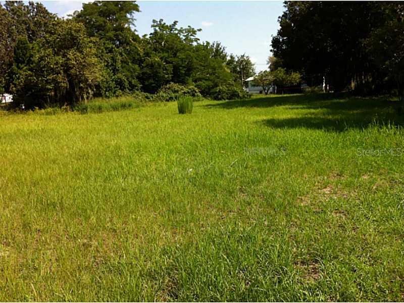 4750 State Road Bartow, FL 33830 - Photo 1 of 1 a view of a green yard