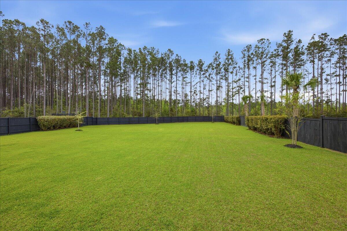 188 Clearblue Loop Summerville, SC 29486 - Photo 7 of 88 Backyard