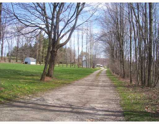 138 Olde Road Somerset, PA 15501 - Photo 14 of 18 Other. Neat treelined lane and additional land