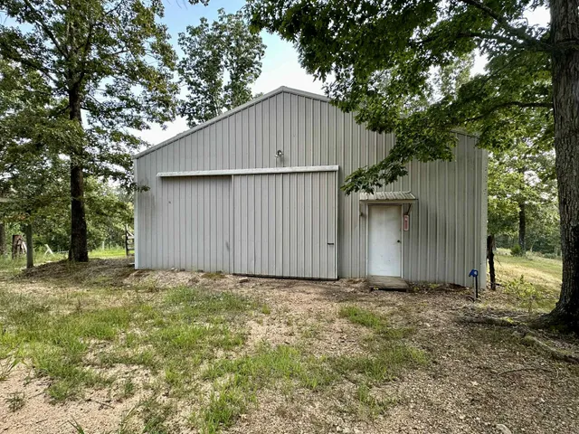 a backyard of a house with plants and large tree