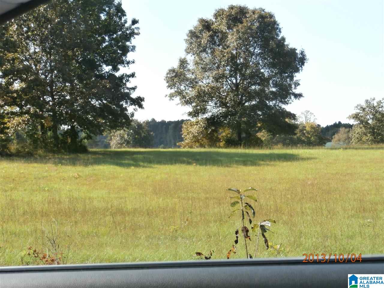 0 Crystal Lane, Unit 22 Dora, AL 35062 - Photo 2 of 2