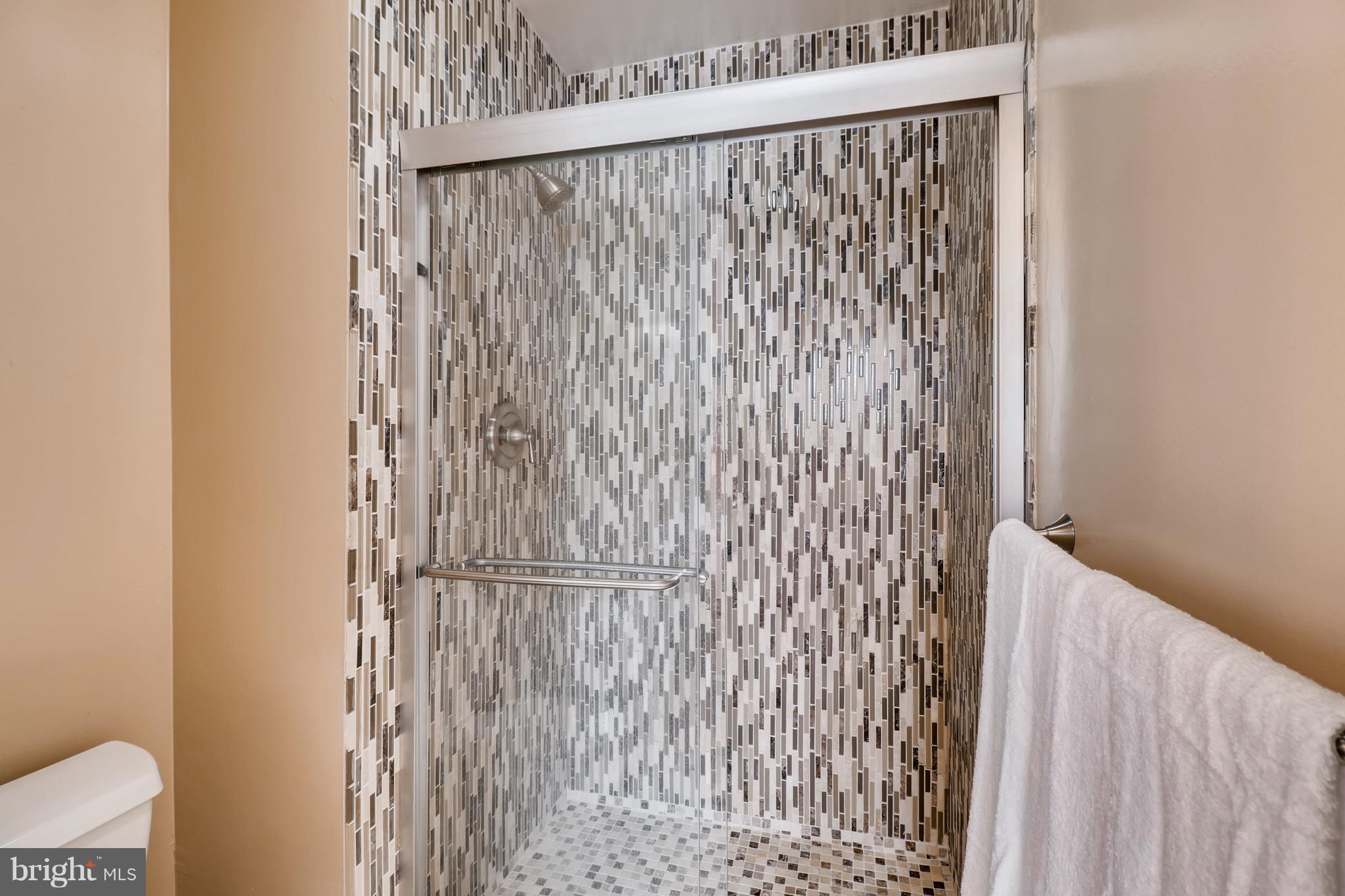 14813 Rose Trellis Place Silver Spring, MD 20906 - Photo 12 of 23 Master Bathroom Shower with Custom Tile