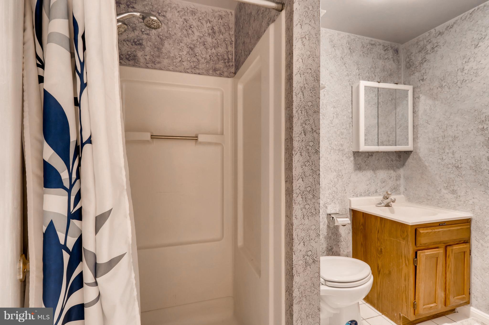 14813 Rose Trellis Place Silver Spring, MD 20906 - Photo 22 of 23 Lower Level Full Bath