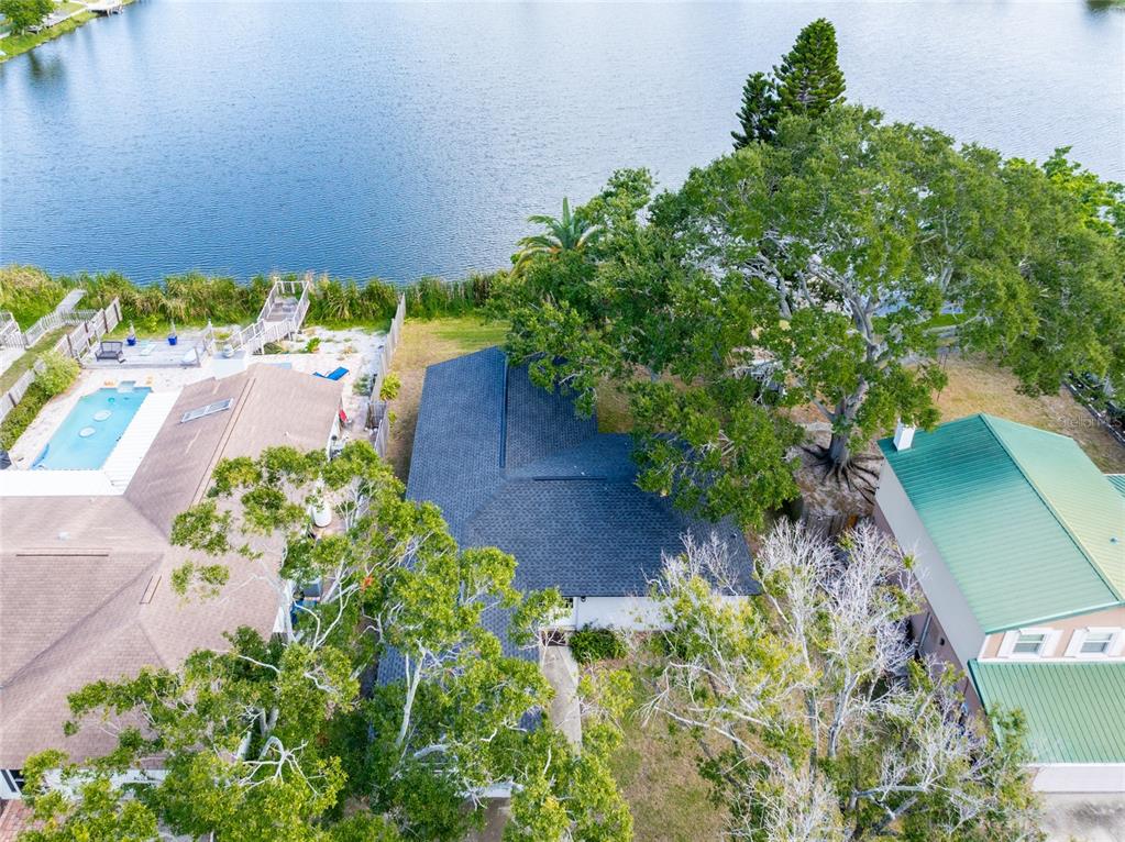 12417 84th Way Largo, FL 33773 - Photo 25 of 27 a picture of flowers