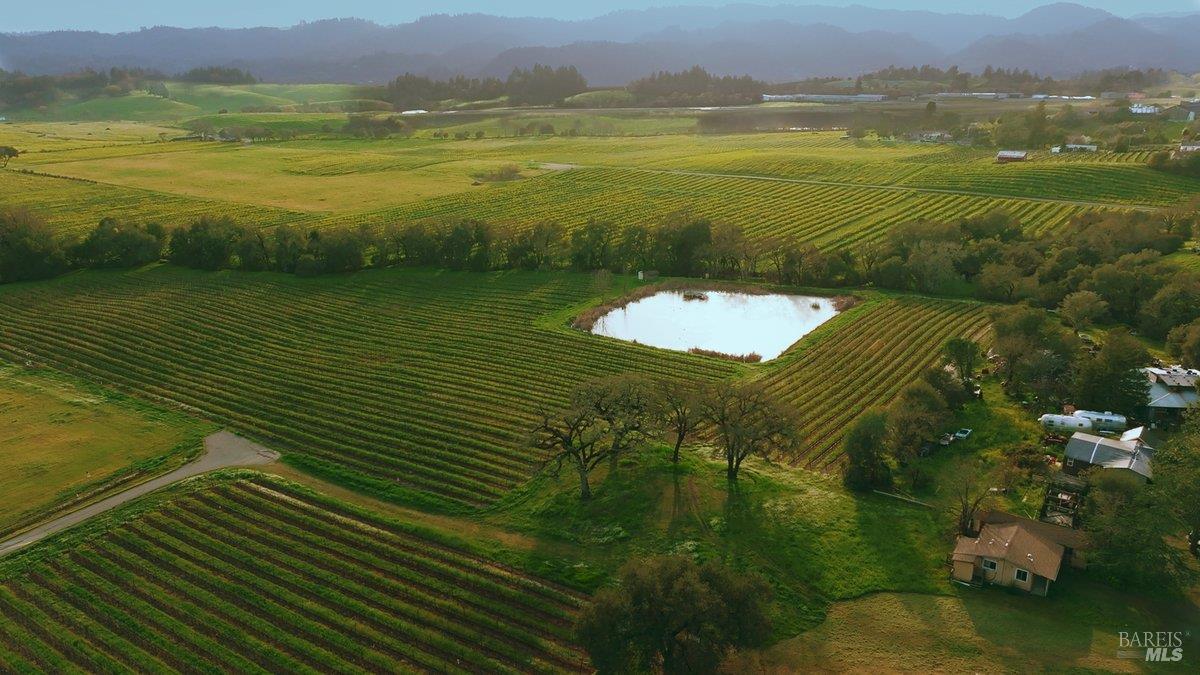 910-920 Lytton Springs Road Healdsburg, CA 95448 - Photo 49 of 59 Used for irrigation, the one acre pond also invites a vibrant ecosystem of winged creatures