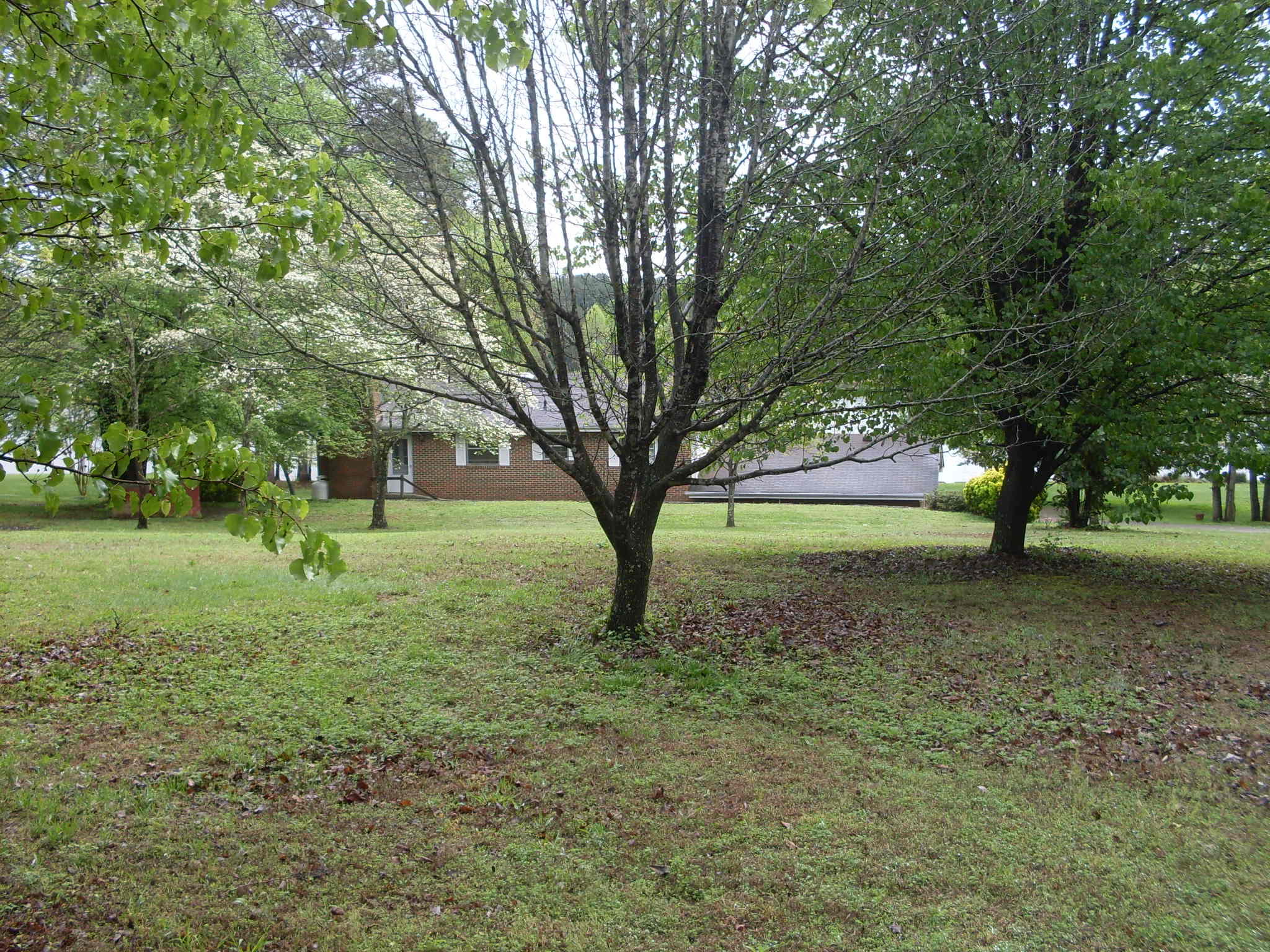 2518 Big Cedar Road Soddy Daisy, TN 37379 - Photo 3 of 36 SDC13269