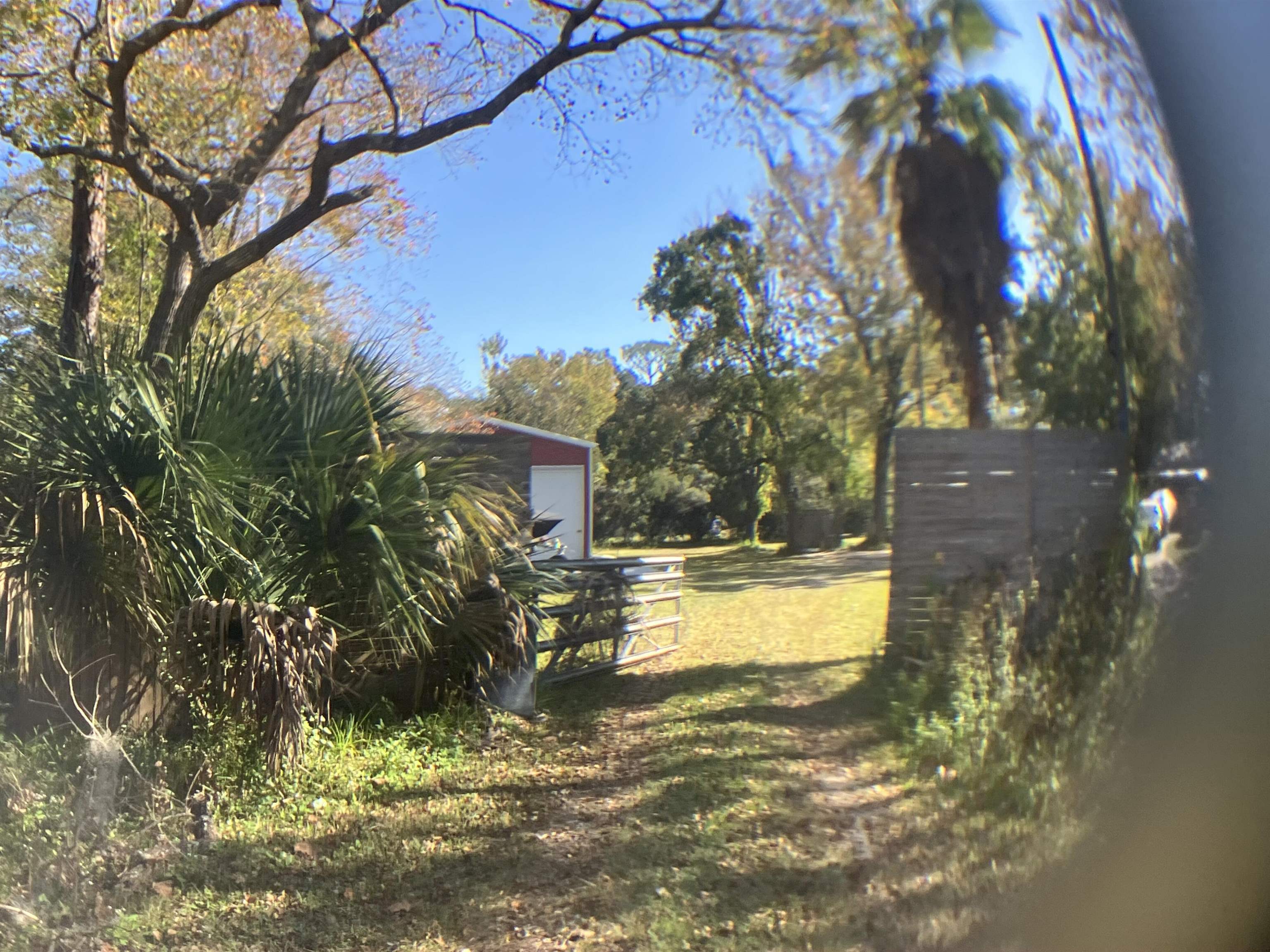 1611 Brian Way St. Augustine, FL 32084 - Photo 15 of 23 a view of a yard with plants and large trees