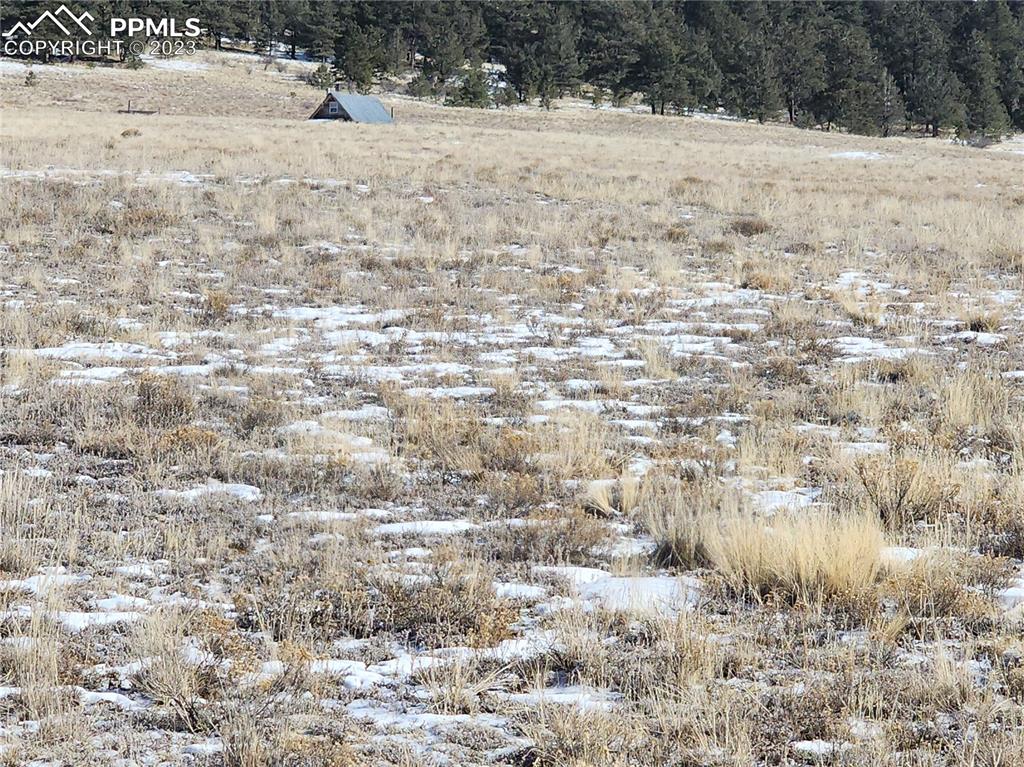 Sequin Road Hartsel, CO 80449 - Photo 9 of 9 a view of a yard covered in snow
