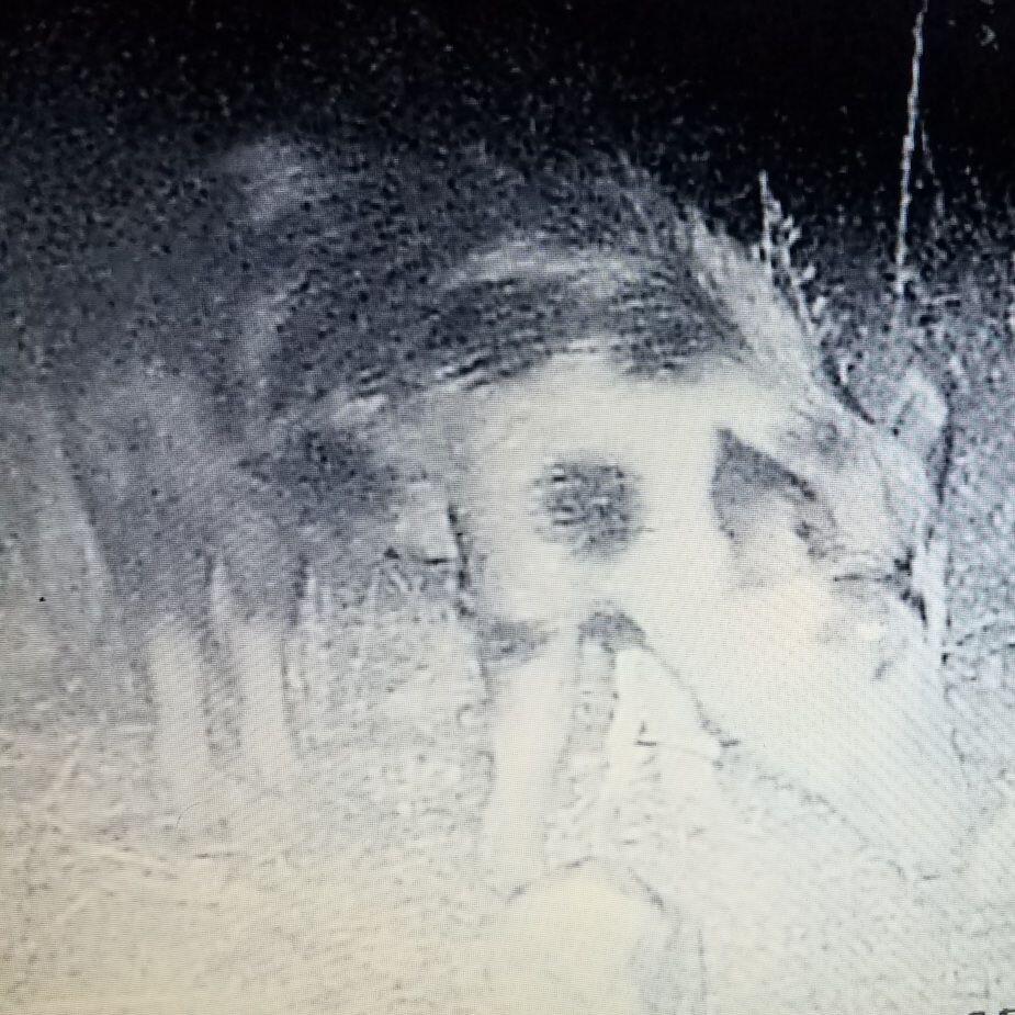 Lot 2 Antioch Cemetery Road Ponce de Leon, FL 32455 - Photo 3 of 6 a view of a backyard of a forest