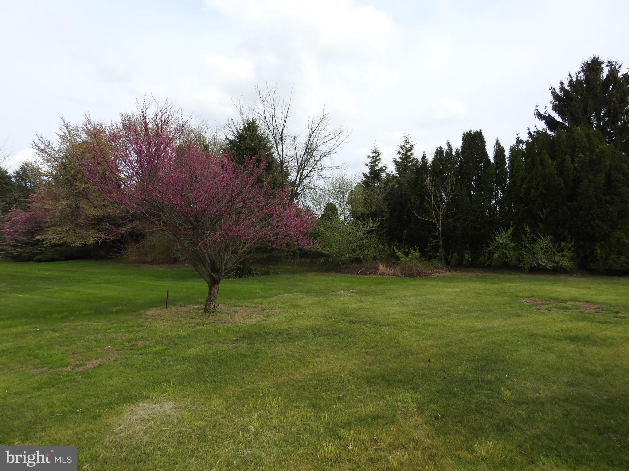 Lot 3 Rettinger Road Halifax, PA 17032 - Photo 9 of 12 Gallery Image 9