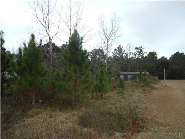 8355 Punjob Road Milton, FL 32583 - Photo 1 of 2 Gallery Image 1