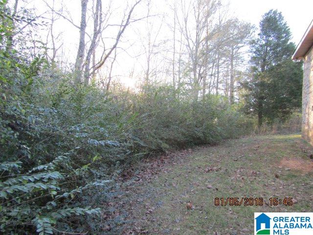 900 Low Water Bridge Road Cleveland, AL 35049 - Photo 4 of 14