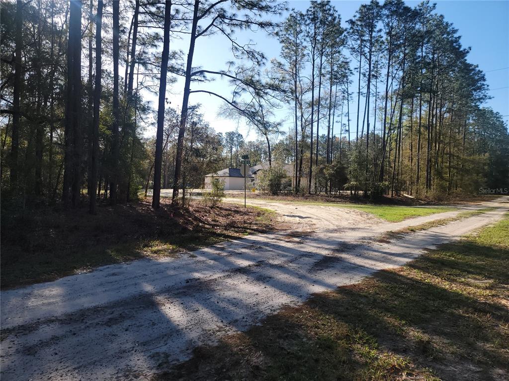 0 Southwest 133rd Court Ocala, FL 34481 - Photo 3 of 6 a view of outdoor space with trees