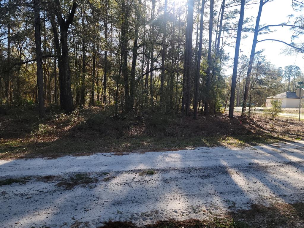 0 Southwest 133rd Court Ocala, FL 34481 - Photo 4 of 6 a view of a yard with a tree