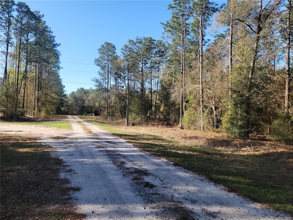 0 Southwest 133rd Court Ocala, FL 34481 - Photo 6 of 6 a view of a yard with palm trees