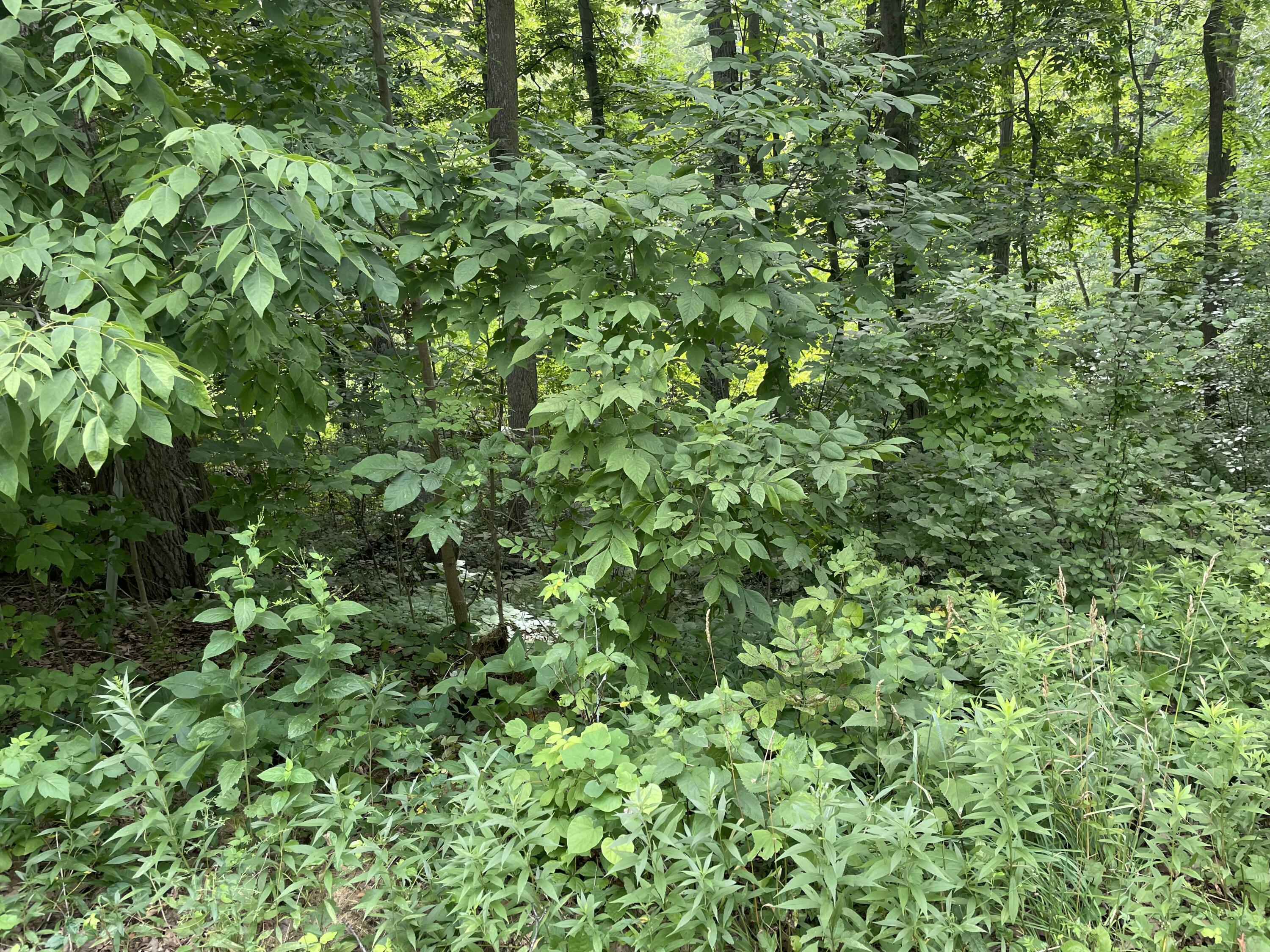 1580 Geneva Club Dr Unit 1823  