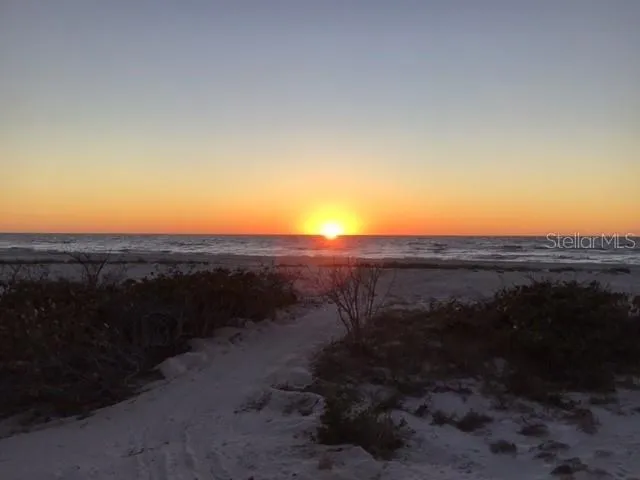 a view of a dry yard with wooden fence