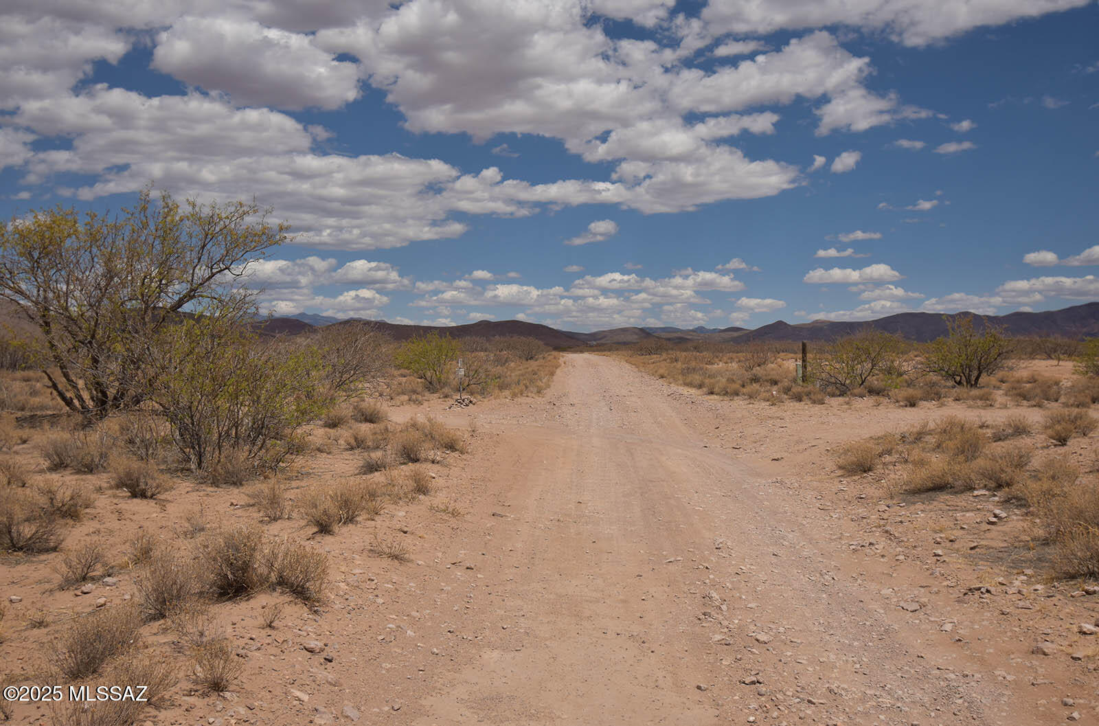 2.7-ac West Austin Henely Road, Unit 706 Elfrida, AZ 85610 - Photo 14 of 17