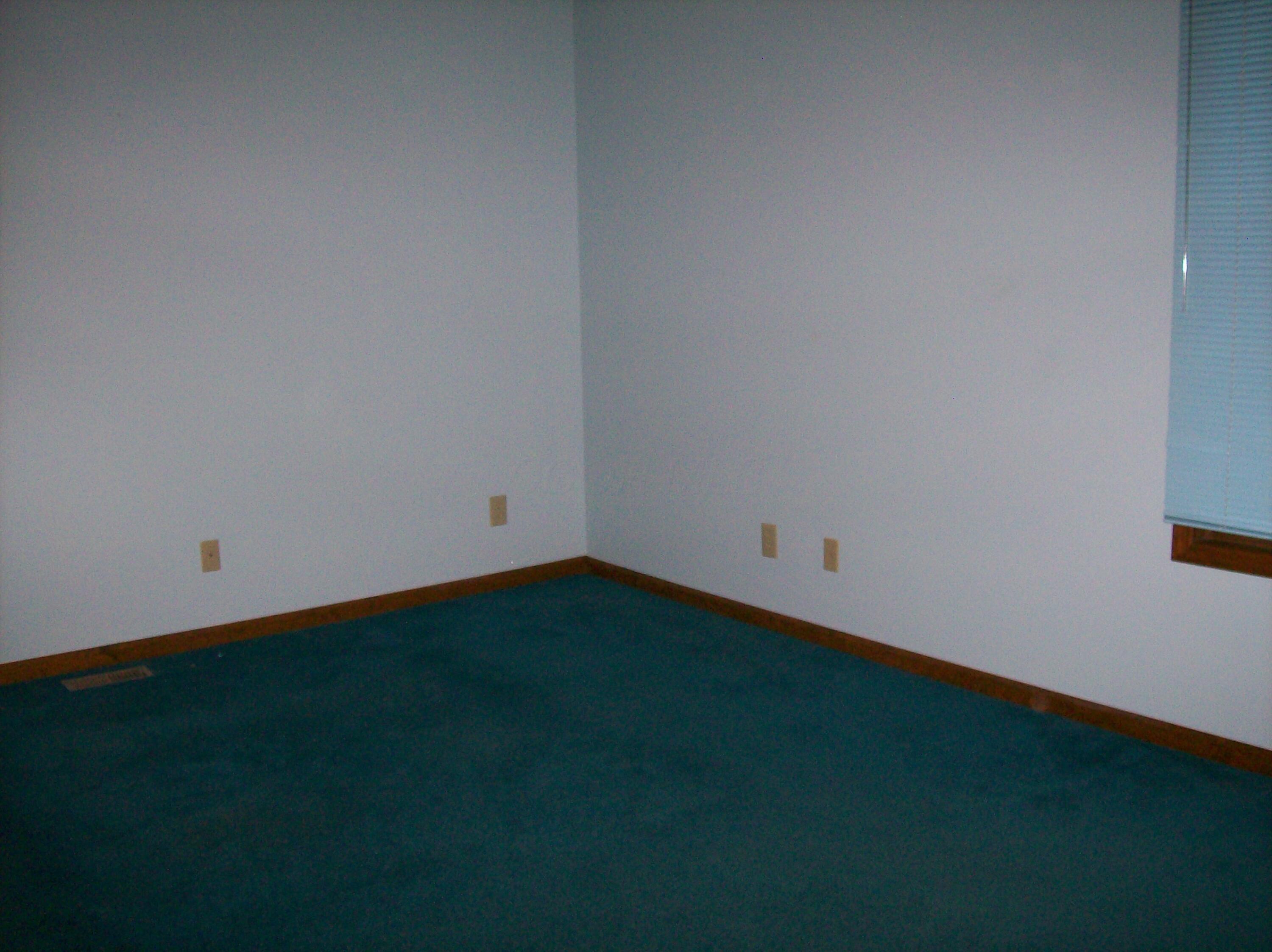 417 Ridgedale Drive Circleville, OH 43113 - Photo 21 of 39 101_1467