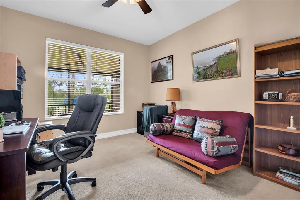 1460 Ribolla Drive Palm Harbor, FL 34683 - Photo 18 of 47
