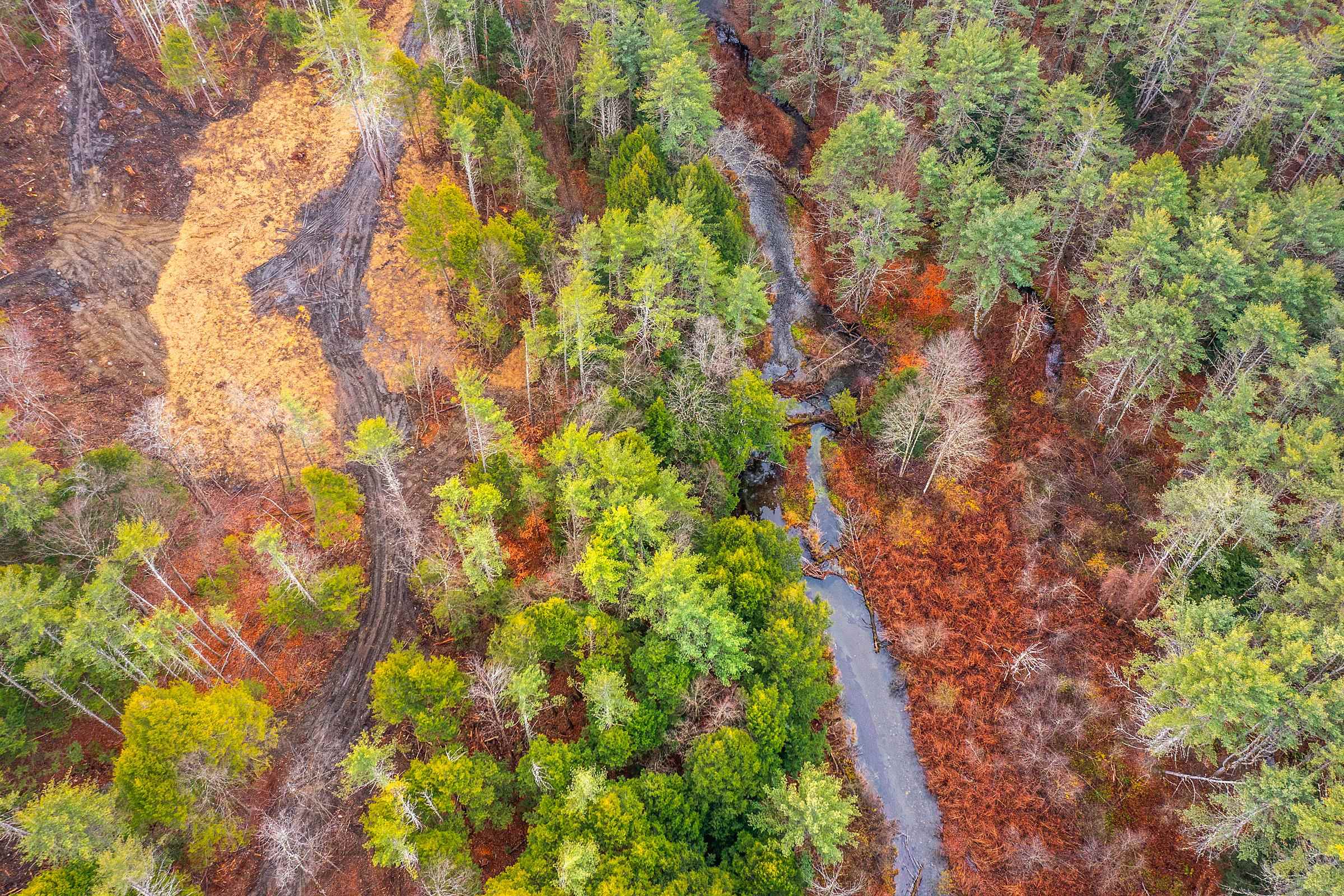 40 East Putney Brook Road Putney, VT 05346 - Photo 13 of 38