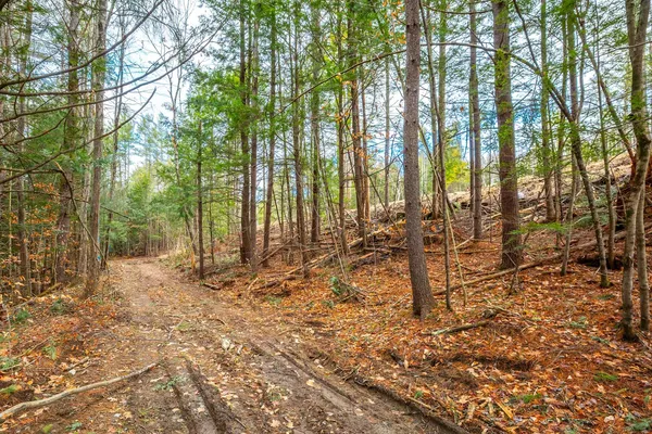$475,000 | 40 East Putney Brook Road, Putney, VT 05346
