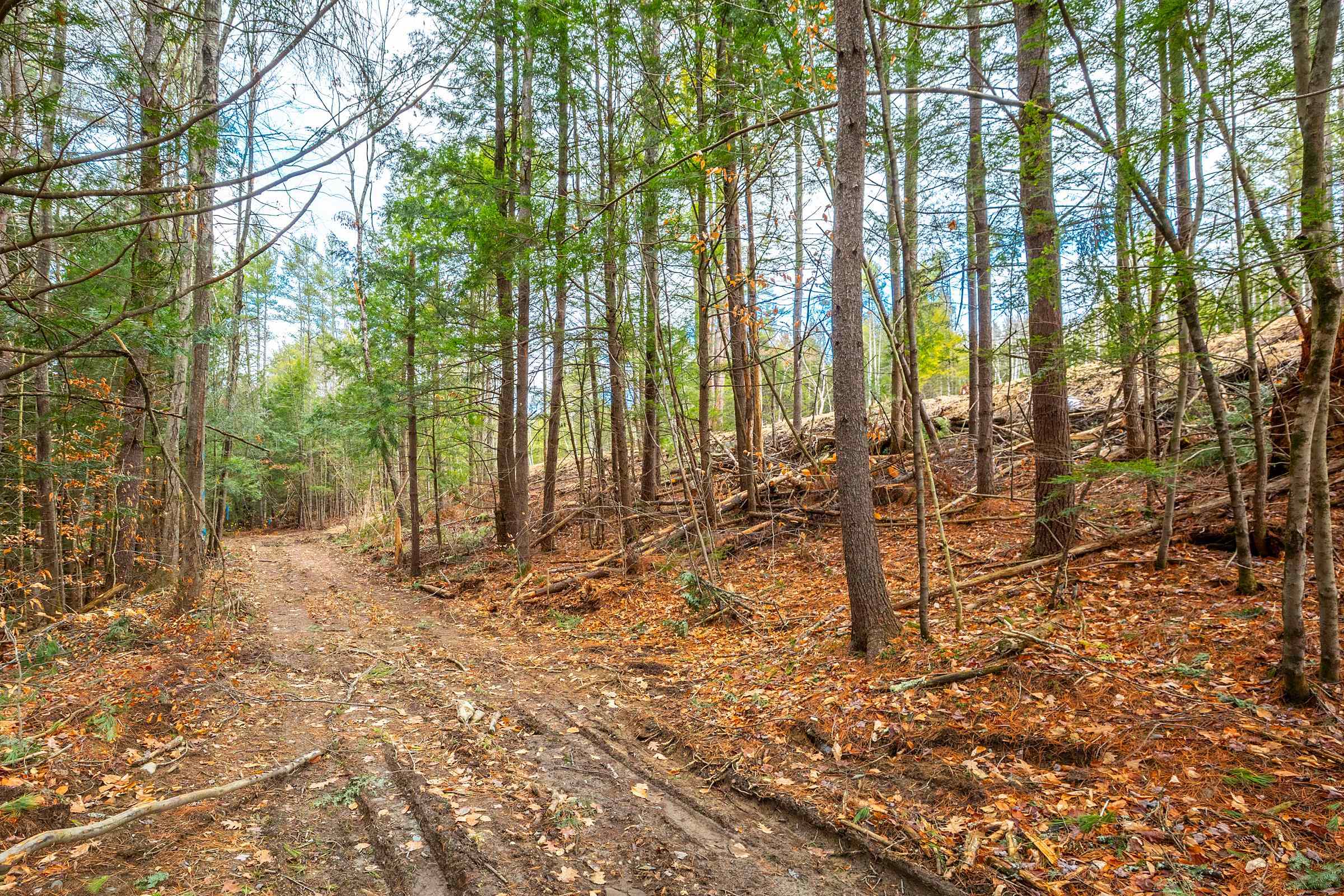 40 East Putney Brook Road Putney, VT 05346 - Photo 14 of 38