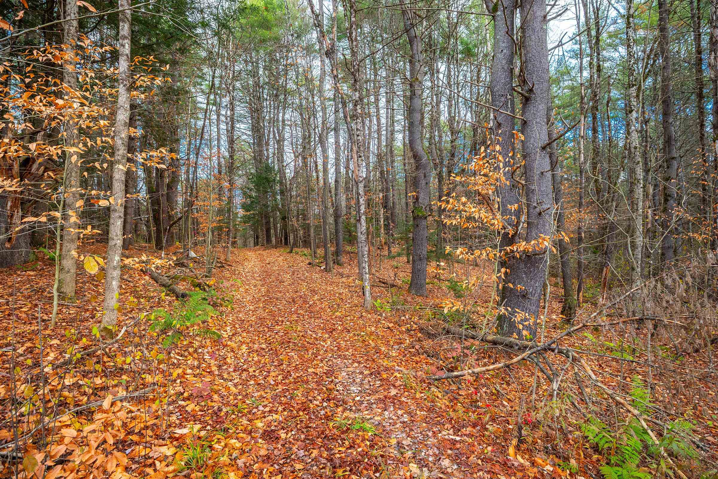 40 East Putney Brook Road Putney, VT 05346 - Photo 16 of 38