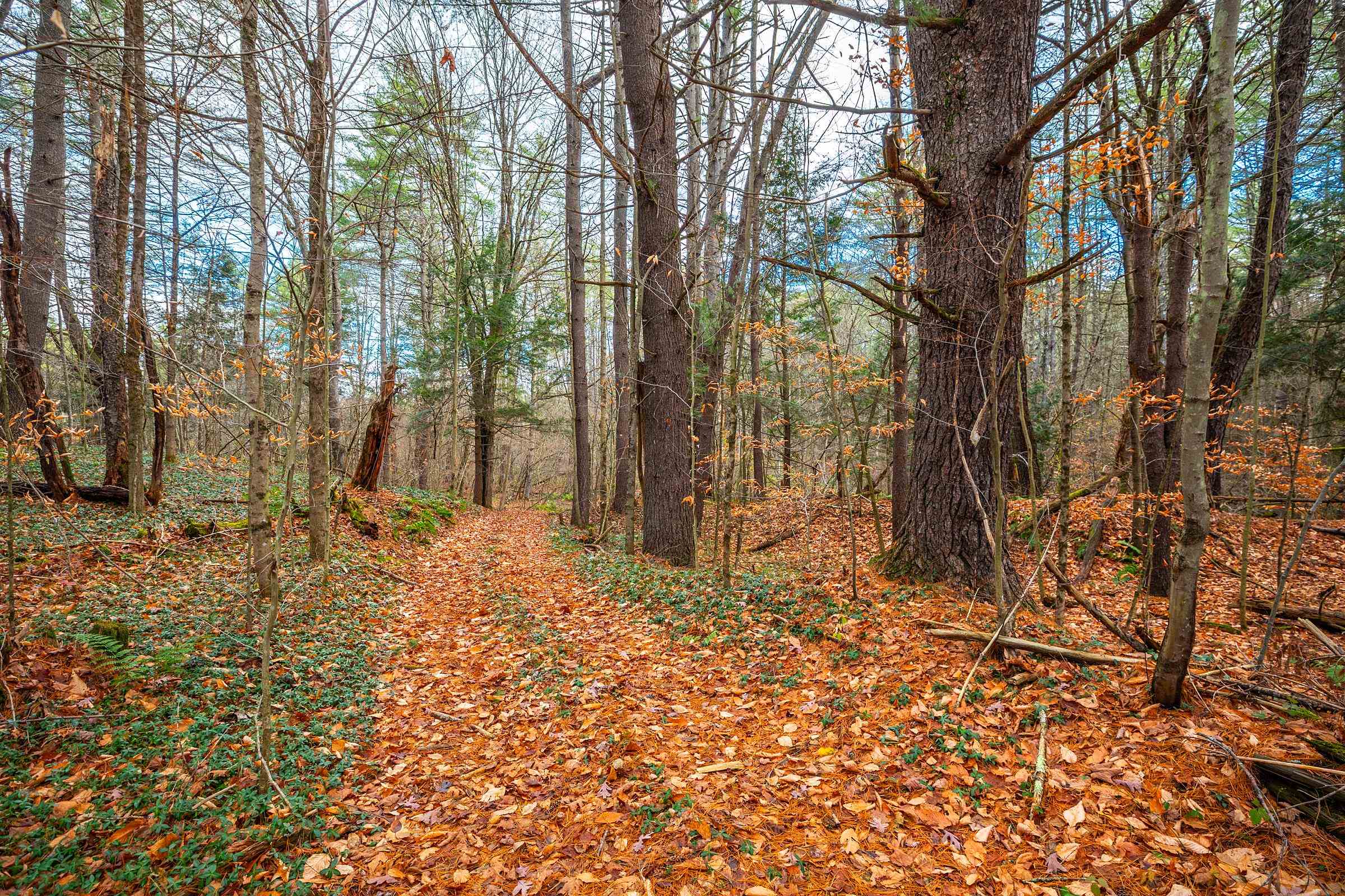 40 East Putney Brook Road Putney, VT 05346 - Photo 17 of 38