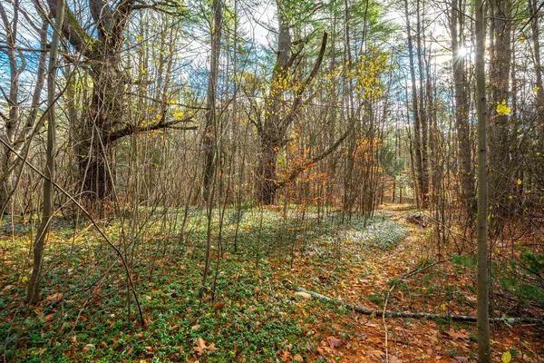 $475,000 | 40 East Putney Brook Road, Putney, VT 05346