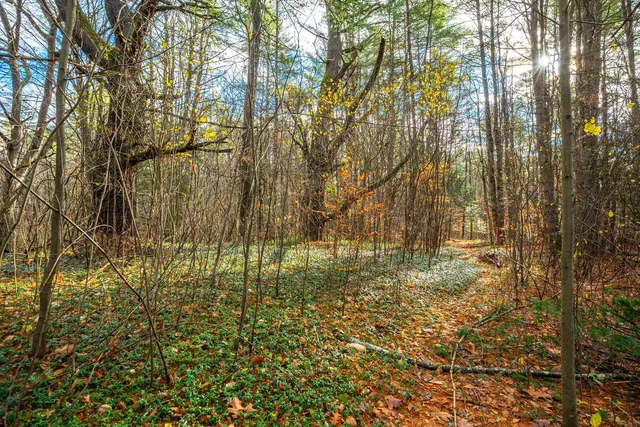 $475,000 | 40 East Putney Brook Road, Putney, VT 05346