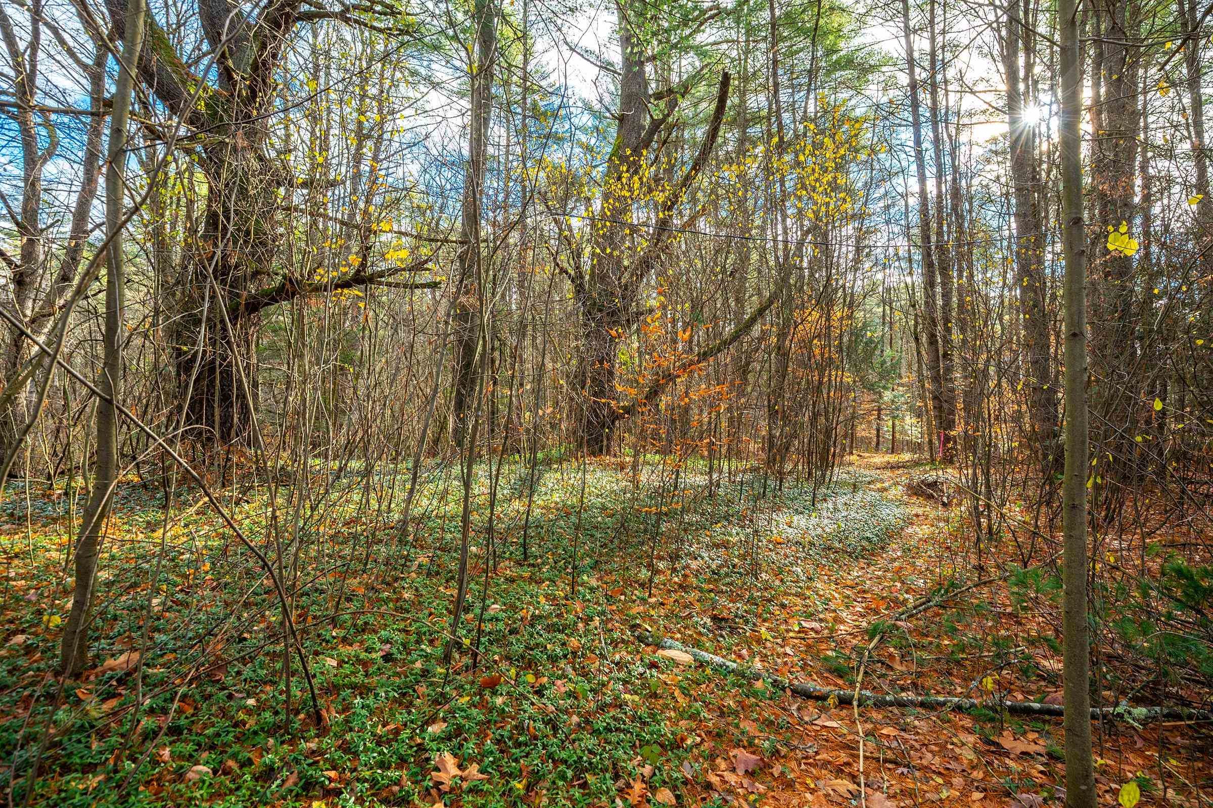40 East Putney Brook Road Putney, VT 05346 - Photo 19 of 38