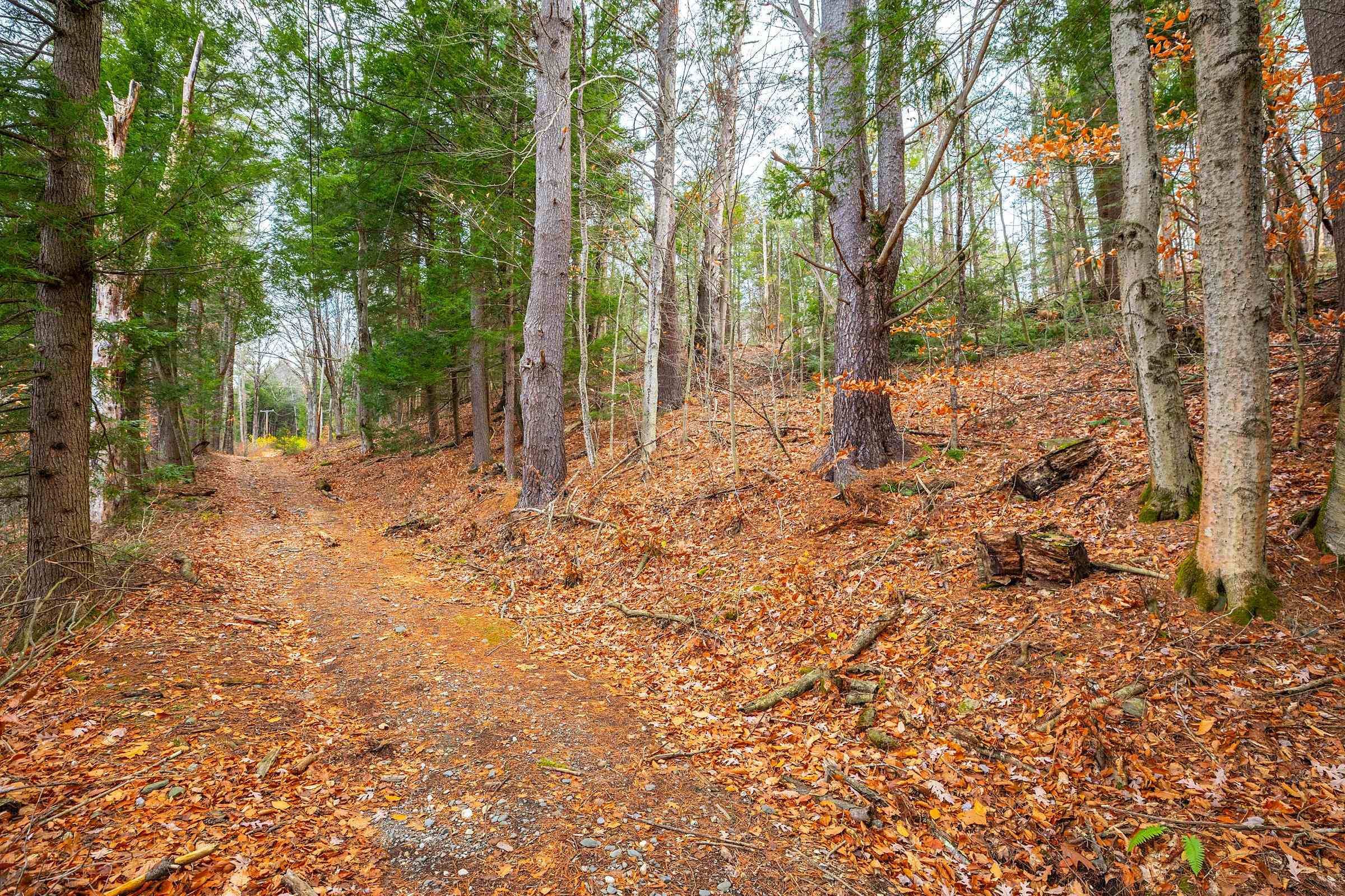 40 East Putney Brook Road Putney, VT 05346 - Photo 20 of 38