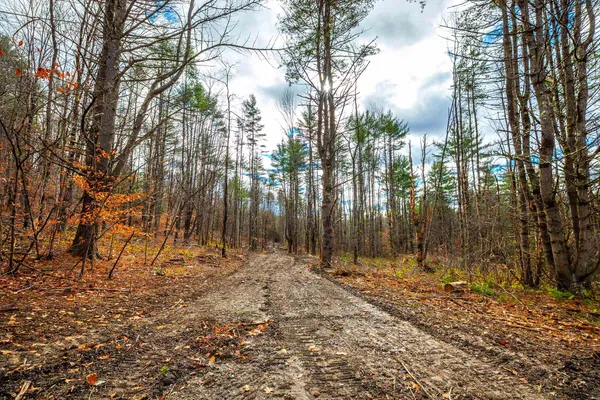 $475,000 | 40 East Putney Brook Road, Putney, VT 05346